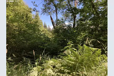 Ne 197th Ct, Amboy, WA 98601 - Photo 4