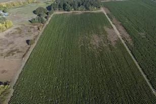 25110 SW Red Prairie Rd, Sheridan, OR 97378 - Photo 26