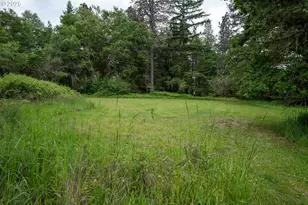 87554 Miller Rd, Veneta, OR 97487 - Photo 42