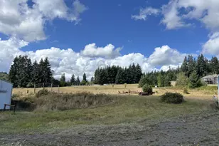 30729 Beaver Homes Rd, Rainier, OR 97048 - Photo 4