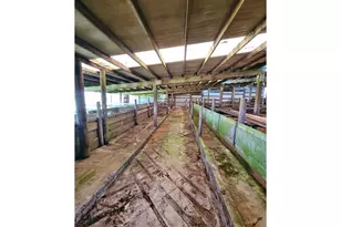 570 Drews Prairie Rd, Winlock, WA 98596 - Photo 44