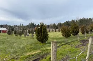 1483 SW Hoffman Rd, West Linn, OR 97068 - Photo 32