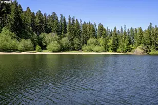 1901 Loon Lake Rd, Reedsport, OR 97467 - Photo 10