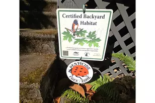 8227 N Woolsey Ave, Portland, OR 97203 - Photo 34