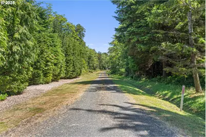 441 Bay Center Rd Rd, South Bend, WA 98586 - Photo 44