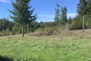 54885 Arago-Fishtrap Rd, Myrtle Point, OR 97458 - Photo 8