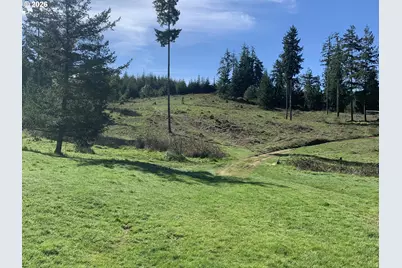 54885 Arago Fishtrap Rd, Myrtle Point, OR 97458 - Photo 2