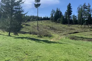 54885 Arago-Fishtrap Rd, Myrtle Point, OR 97458 - Photo 2