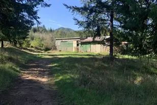 54885 Arago-Fishtrap Rd, Myrtle Point, OR 97458 - Photo 6