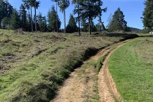 54885 Arago-Fishtrap Rd, Myrtle Point, OR 97458 - Photo 4