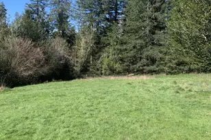 54885 Arago-Fishtrap Rd, Myrtle Point, OR 97458 - Photo 16