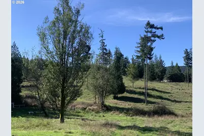 54885 Arago Fishtrap Rd, Myrtle Point, OR 97458 - Photo 10