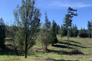 54885 Arago-Fishtrap Rd, Myrtle Point, OR 97458 - Photo 10