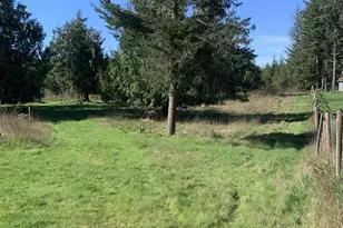54885 Arago-Fishtrap Rd, Myrtle Point, OR 97458 - Photo 18