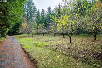 87250 Cedar Flat Rd, Springfield, OR 97478 - Photo 36
