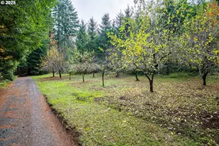 87250 Cedar Flat Rd, Springfield, OR 97478 - Photo 36