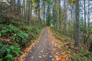 87250 Cedar Flat Rd, Springfield, OR 97478 - Photo 42