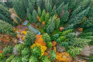 87250 Cedar Flat Rd, Springfield, OR 97478 - Photo 48