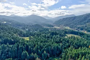 1941 Byron Creek Rd, Winston, OR 97496 - Photo 46