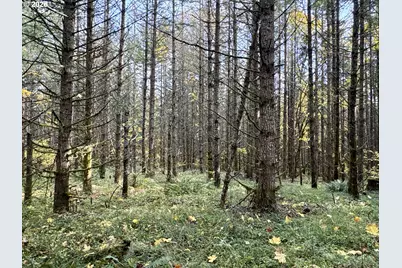 Ingram Rd, Lebanon, OR 97355 - Photo 12