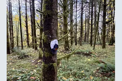 Ingram Rd, Lebanon, OR 97355 - Photo 22