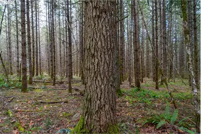 Ingram Rd, Lebanon, OR 97355 - Photo 10