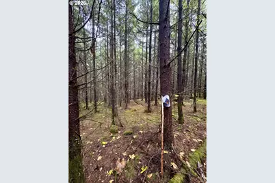 Ingram Rd, Lebanon, OR 97355 - Photo 26