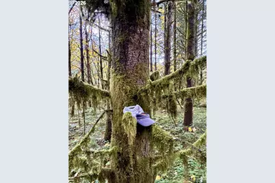 Ingram Rd, Lebanon, OR 97355 - Photo 20