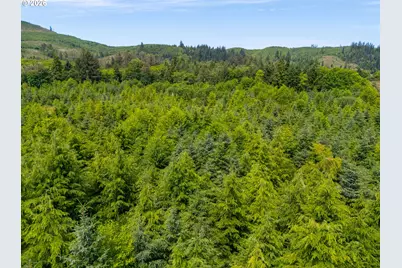 0 Youngs River Rd, Astoria, OR 97103 - Photo 4