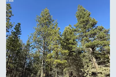 Badger Lane, Bonanza, OR 97623 - Photo 30
