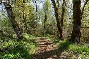 21542 Hwy 126, Noti, OR 97461 - Photo 6
