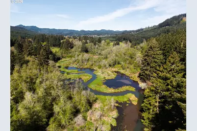 21542 Highway 126, Noti, OR 97461 - Photo 22