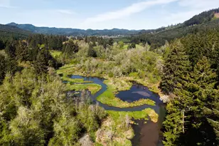 21542 Hwy 126, Noti, OR 97461 - Photo 22