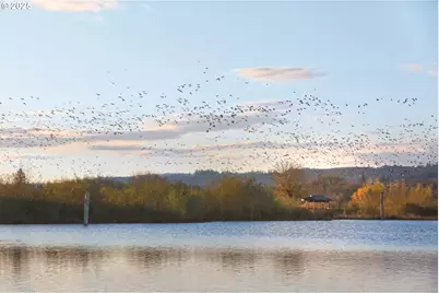 3308 Butte Dr, Forest Grove, OR 97116 - Photo 22