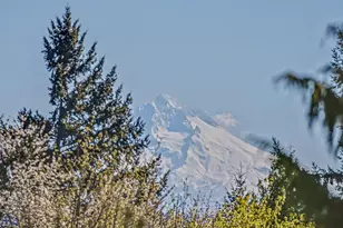 13623 Barclay Hills Dr, Oregon City, OR 97045 - Photo 24