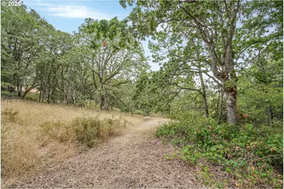 0 Sheep Head Rd, Brownsville, OR 97327 - Photo 8