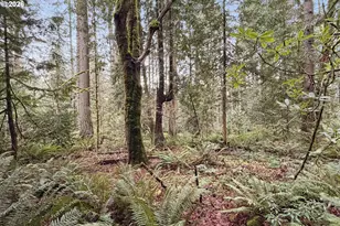 18031 SE 370th Ave, Sandy, OR 97055 - Photo 20