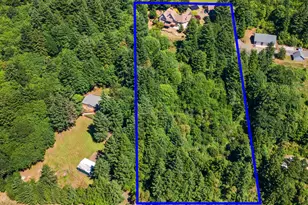 8801 SE Walnut Dr, Amity, OR 97101 - Photo 48