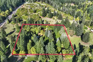 231 Butler Loop Rd, Stevenson, WA 98648 - Photo 44