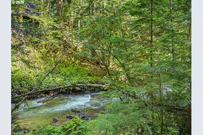 78549 E Rd 35 Lot 115, Rhododendron, OR 97049 - Photo 36
