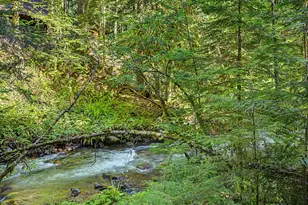 78549 E Rd 35 Lot 115, Rhododendron, OR 97049 - Photo 36