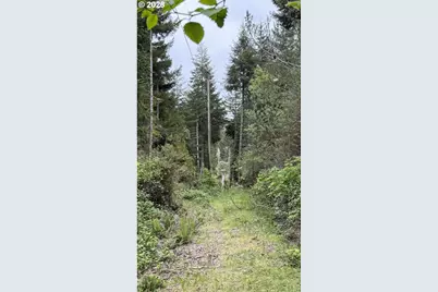 93757 Nabb Ln, North Bend, OR 97459 - Photo 6
