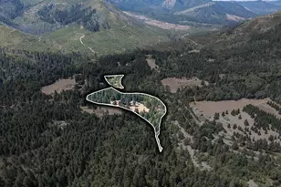 4215 Mt Reuben Rd, Glendale, OR 97442 - Photo 4