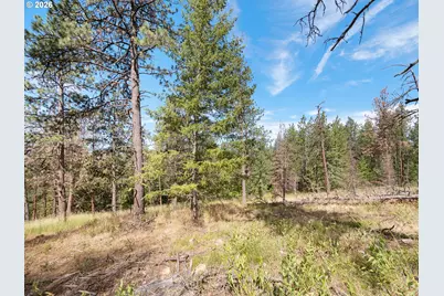 70286 Haefer Ln, Cove, OR 97824 - Photo 46
