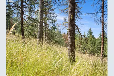 70286 Haefer Ln, Cove, OR 97824 - Photo 34