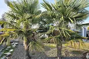 612 N Cascade Dr, Woodburn, OR 97071 - Photo 18