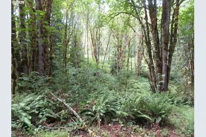 Valley View Dr #11, Mossyrock, WA 98564 - Photo 4