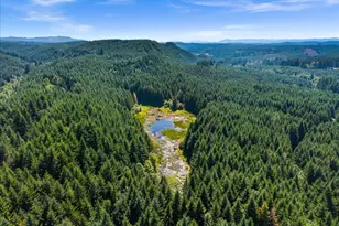 58996 Pebble Creek Rd, Vernonia, OR 97064 - Photo 18
