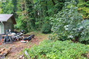 21620 Glaze Rd, Noti, OR 97461 - Photo 4