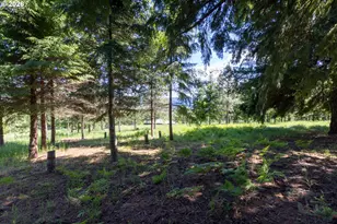 5090 Binns Hill Dr, Hood River, OR 97031 - Photo 42